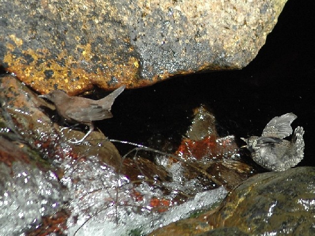 @ JKX@eq@ʌ@{@ 2008/03/15@Photo by Takase