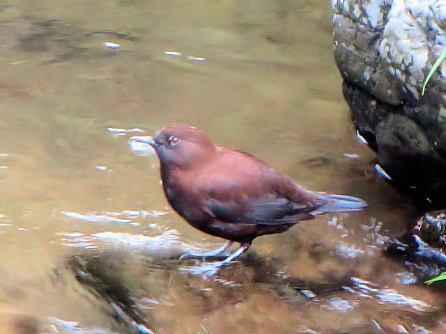 C JKX@@ڑ@@2009/09/18@Photo by Kohyuh