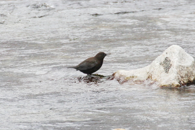 JKX iW-2j@@㍂n@쌧@2014/11/14@Photo by Manda