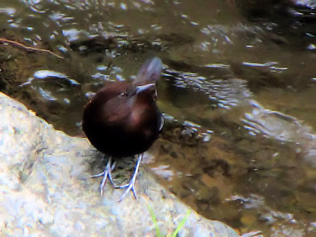 D JKX@@ڑ@@2009/09/18@Photo by Kohyuh