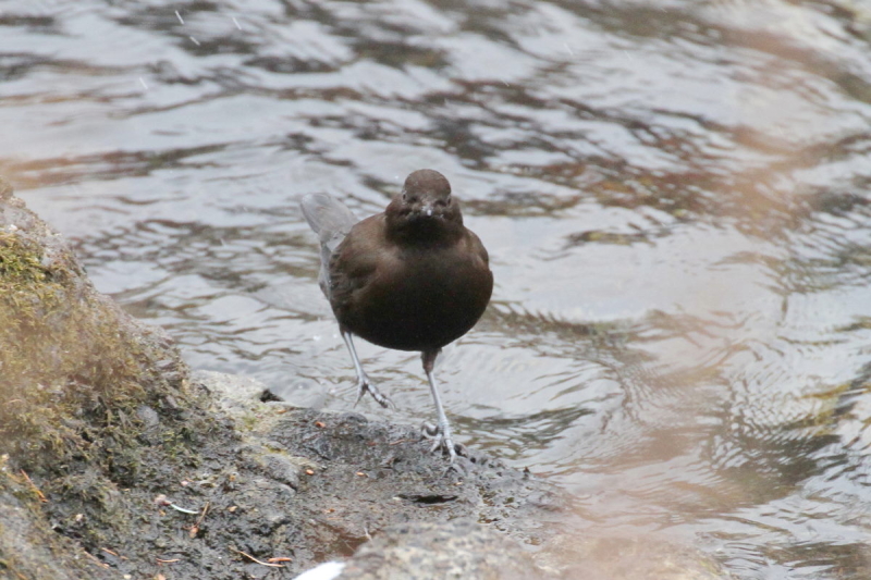 JKX iW-3j@@㍂n@쌧@2014/11/14@Photo by Manda