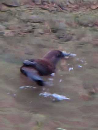 E JKX@@ڑ@@2009/09/18@Photo by Kohyuh