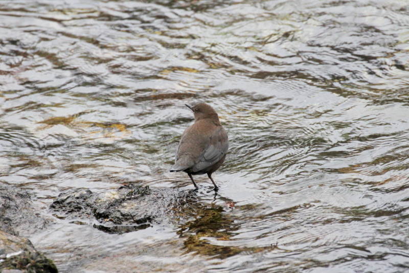 JKX iW-4j@@㍂n@쌧@2014/11/14@Photo by Manda