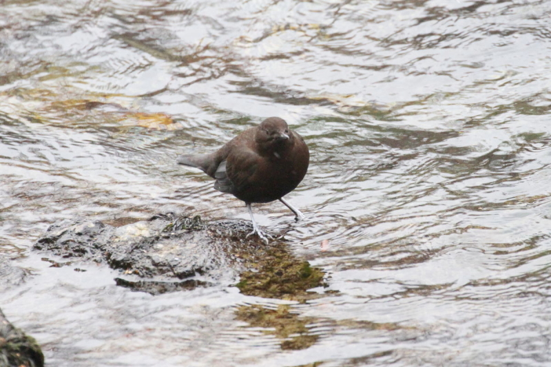 JKX iW-5j@@㍂n@쌧@2014/11/14@Photo by Manda