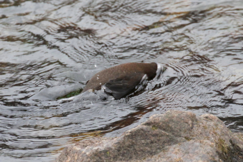 JKX iW-6j@@㍂n@쌧@2014/11/14@Photo by Manda