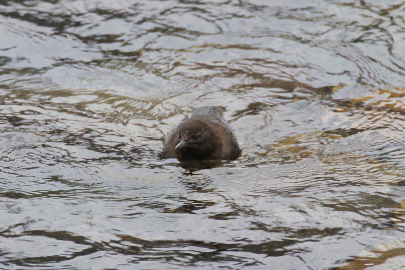 JKX iW-7j@@㍂n@쌧@2014/11/14@Photo by Manda