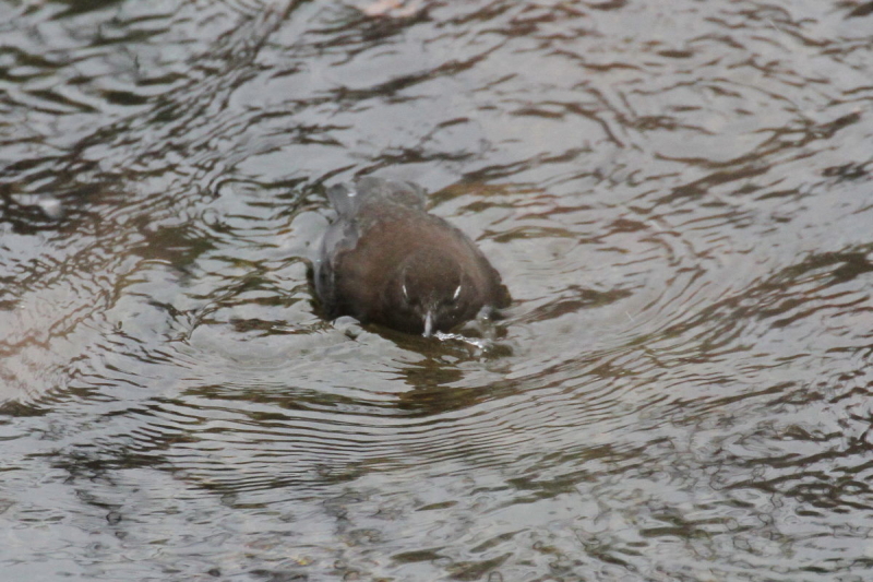 JKX iW-8j@@㍂n@쌧@2014/11/14@Photo by Manda