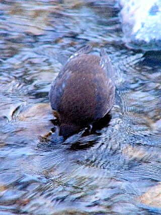 F JKX@@P@kC@ 2008/02/03@Photo by Kohyuh