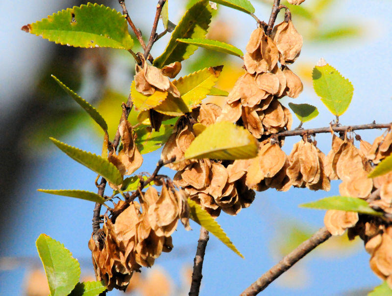 ALj̎ 썶݁@s@2018/12/16@Photo by Kohyuh