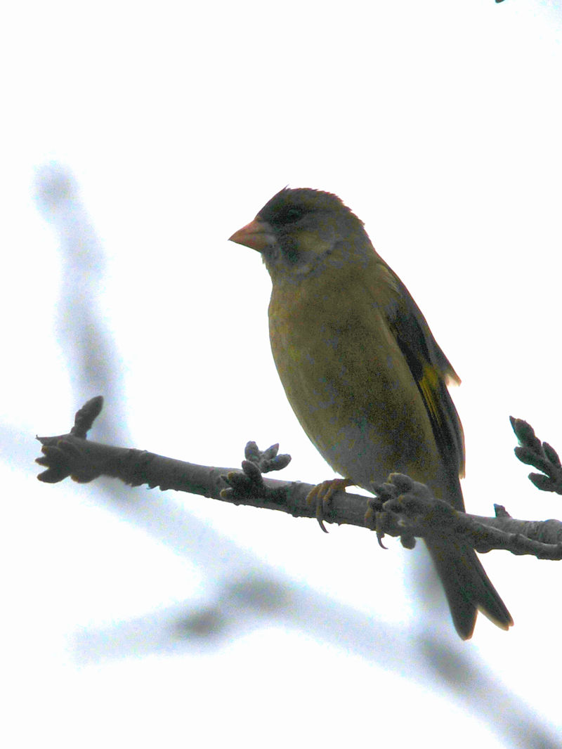 Jq@J@s@2023/02/20@Photo by Kohyuh