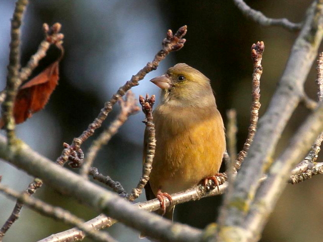 F Jq @@@@ޗǌ@2013/11/28@Photo by Manda