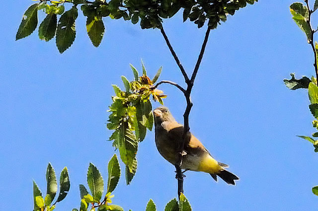 Jq@iQ-1j@썶݁@s@2017/09/30@Photo by Kohyuh