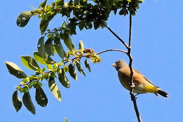 Jq@iQ-2j@썶݁@s@2017/09/30@Photo by Kohyuh