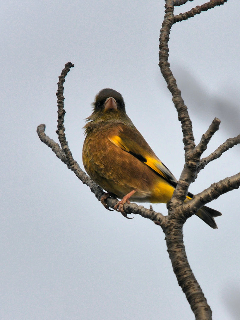 Jq @J@s@2022/01/12@Photo by Kohyuh