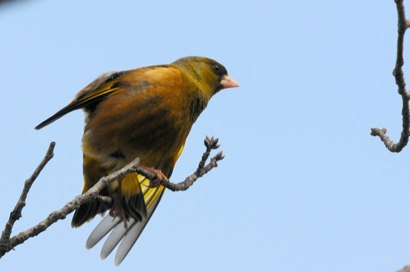 Jq @J@s@2022/02/14@Photo by Kohyuh