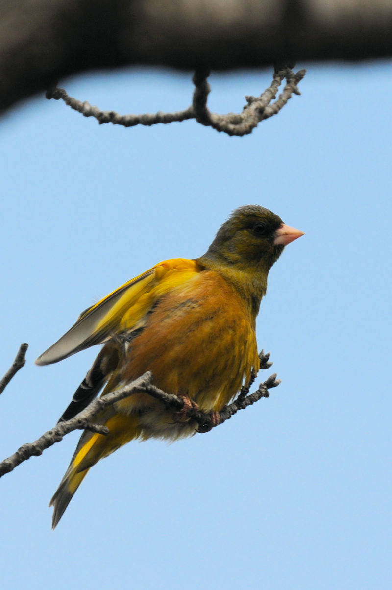 Jq @J@s@2022/02/14@Photo by Kohyuh