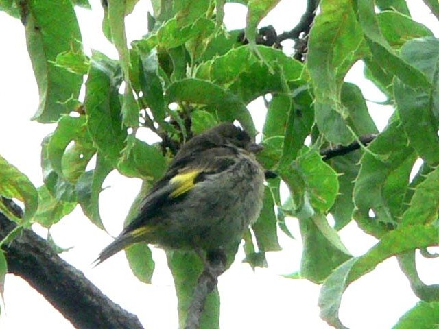 B Jq@c@@s@@2006/05/21@Photo by Takase