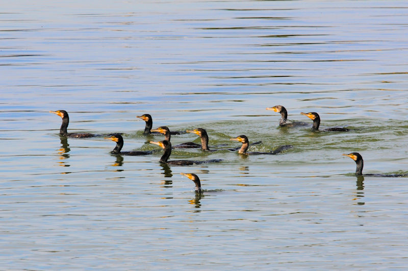 JẼO[viQ-1j@Vr@s@2019/11/07@Photo by Kohyuh