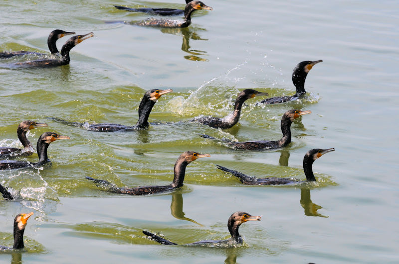 JẼO[viQ-2j@Vr@s@2019/11/07@Photo by Kohyuh