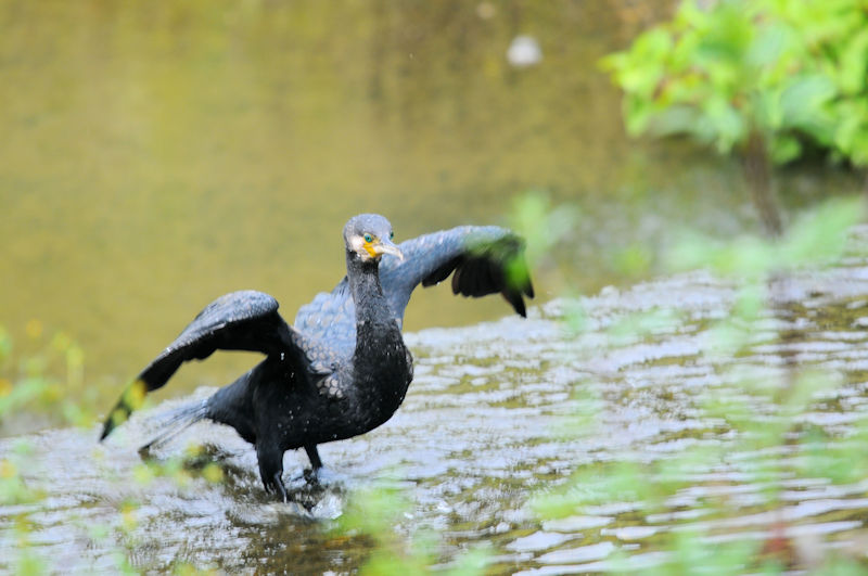 JEiї̐j@D@s@2020/10/03@Photo by Kohyuh