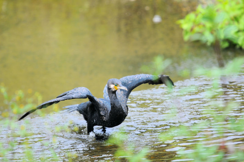 JEiї̐j@D@s@2020/10/03@Photo by Kohyuh