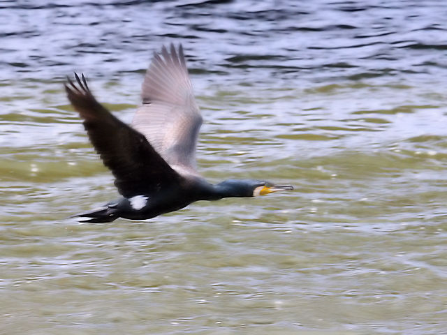 G JE@@~H@@s@2010/05/12@Photo by Kohyuh