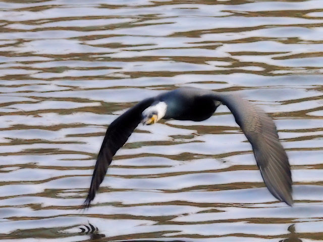 H JE@@~H@J@s@2014/02/16@Photo by Kohyuh