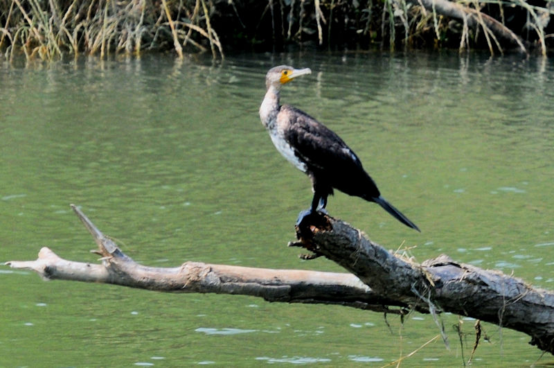 JE ᒹ@킫R^@j@s@2020/06/16@Photo by Kohyuh