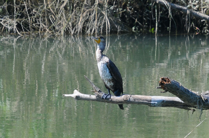 JE ᒹ@킫R^@j@s@2020/06/17@Photo by Kohyuh