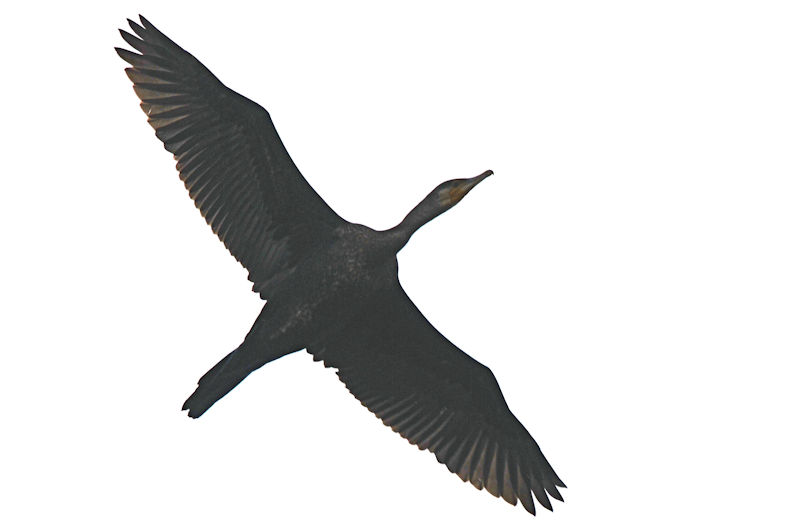 JEiюpj@J@s@2021/10/10@Photo by Kohyuh