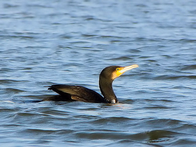 E JE@@~H@ߍ]s@2009/10/01@Photo by Kohyuh