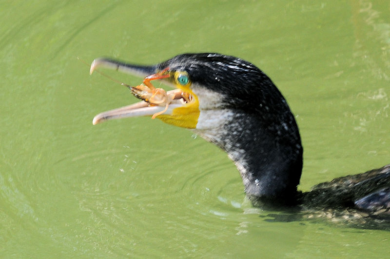  JE@@s@2019/09/20@Photo by Kohyuh