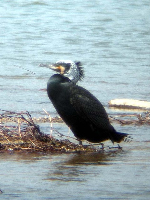 @ JE@ĉH iBHj@s@q@2006/03/05@Photo by Takayama