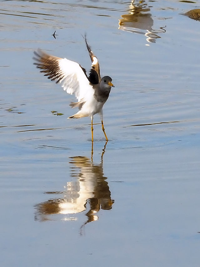 P@@iT-1j@s@J@2014/10/19@Photo by Kohyuh