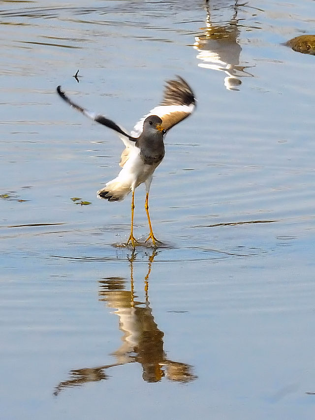 P@@iT-2j@s@J@2014/10/19@Photo by Kohyuh