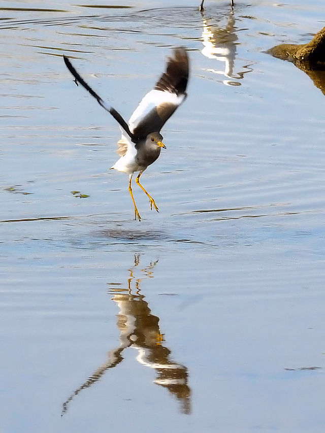 P@@iT-3j@s@J@2014/10/19@Photo by Kohyuh