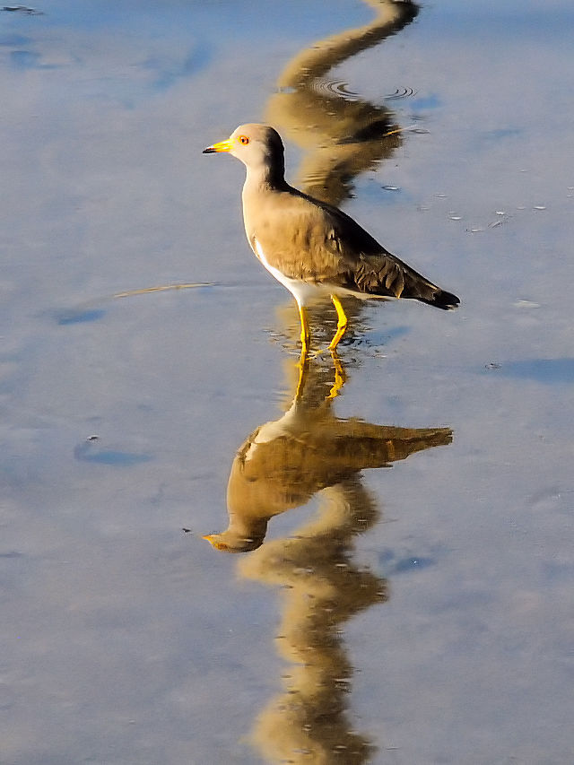 P@@iT-5j@s@J@2014/10/19@Photo by Kohyuh