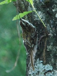 sLoVt@ʐ^̓NbNŊg傷