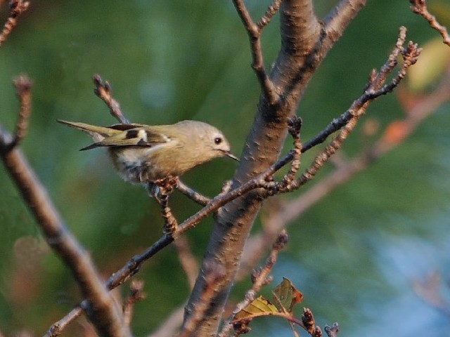@ LNC^_L@@s@@2009/10/30@ Photo by Takase