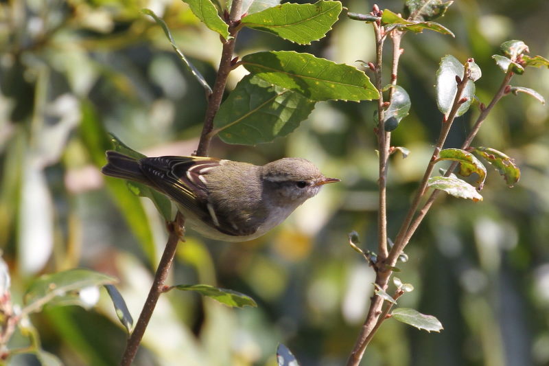 L}VNC@@iW-1j@@s@2016/01/25@Photo by Manda