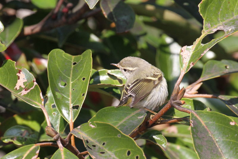 L}VNC@@iW-2j@@s@2016/01/25@Photo by Manda