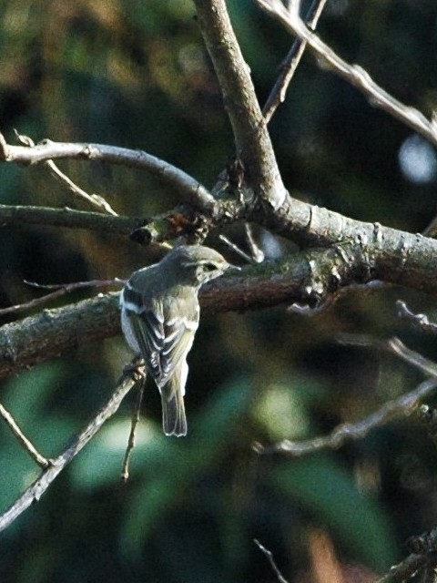 A L}VNC@@@썶݁@s@2009/02/28@Photo by Takase