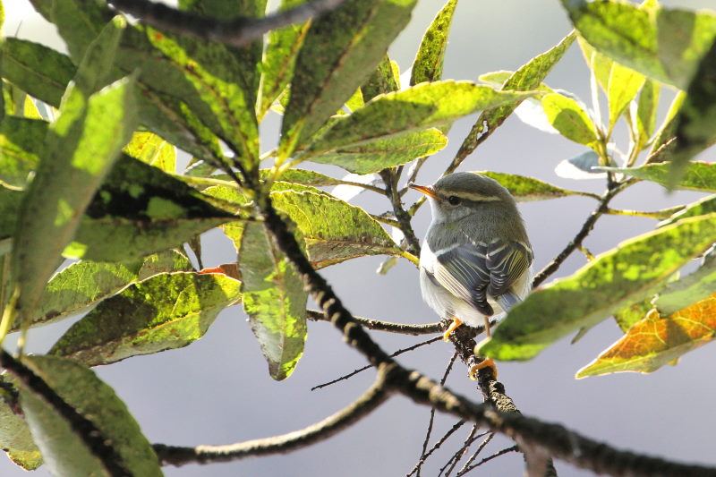 L}VNC@@iW-3j@@s@2016/01/25@Photo by Manda