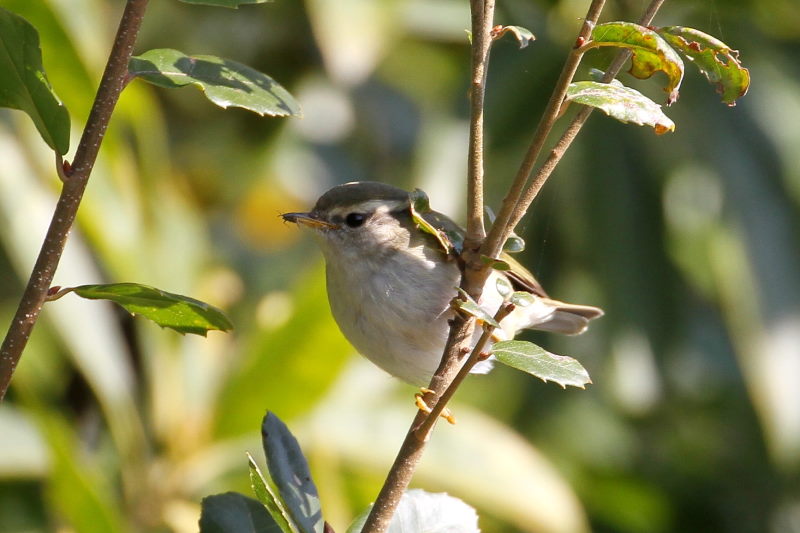 L}VNC@@iW-5j@@s@2016/01/25@Photo by Manda