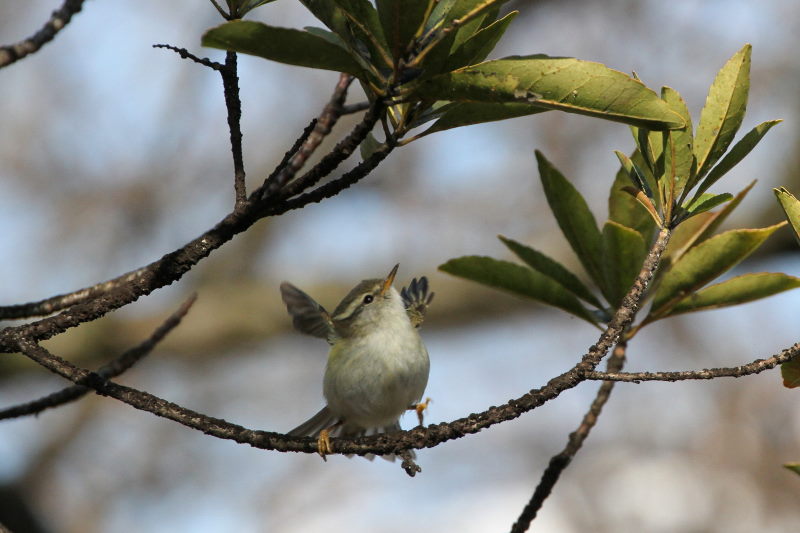 L}VNC@@iW-6j@@s@2016/01/25@Photo by Manda