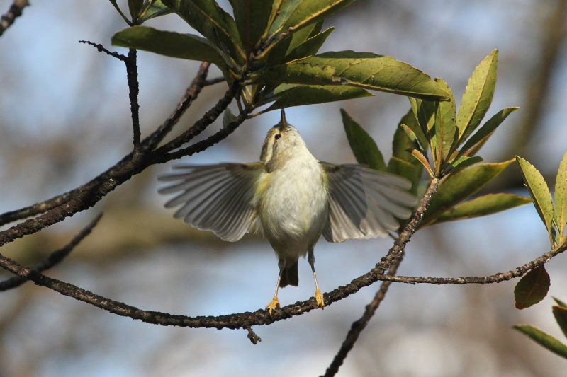 L}VNC@@iW-7j@@s@2016/01/25@Photo by Manda