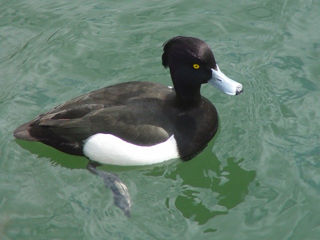 @ LNnW @ĉH@@ 2007/02/24@ Photo by Kohyuh