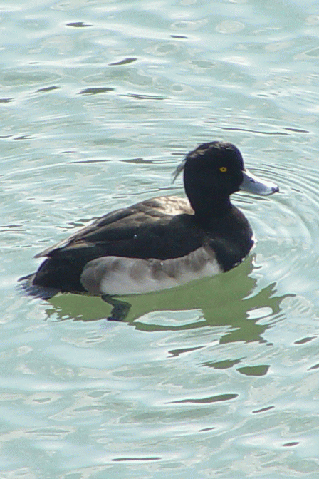 B LNnW @s@r@ 2003/12/17@ Photo by Kohyuh