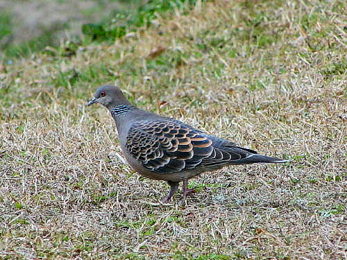 @ LWog@@s{A@2003/02/25@Photo by Kohyuh