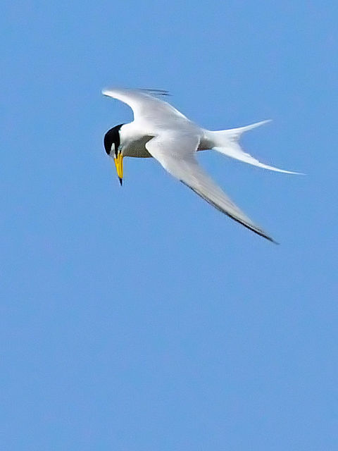 B RAWTV@@s@썶݁@2010/04/28@ Photo by Kohyuh